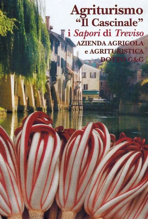 טרוויסו Agriturismo Il Cascinale